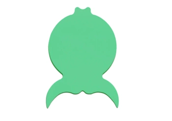 Flipper Bobby - deska do pływania